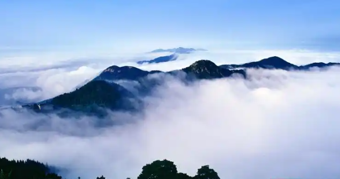360截图20250430140750333.png